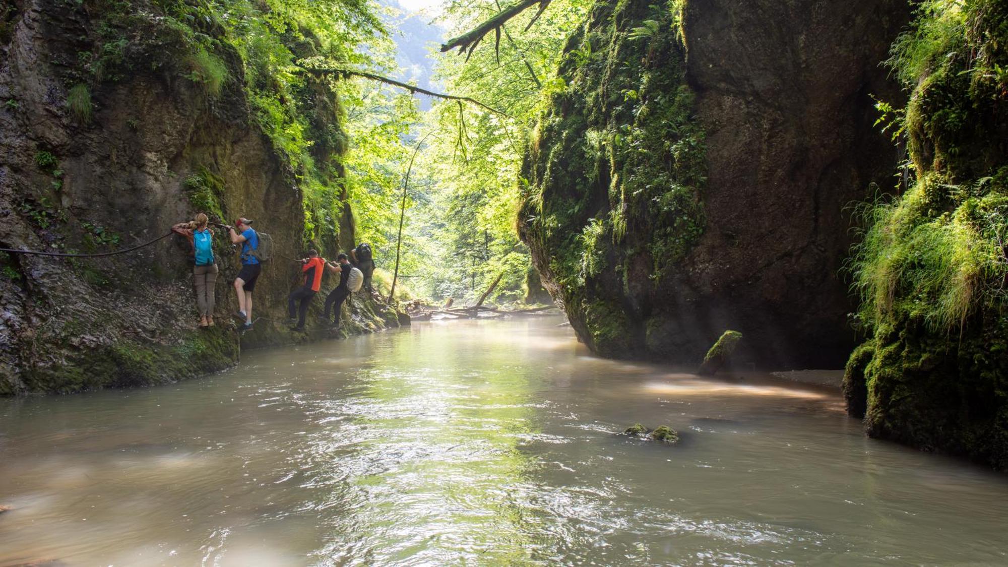 Отель Apuseni Park Padis Budureasa Экстерьер фото