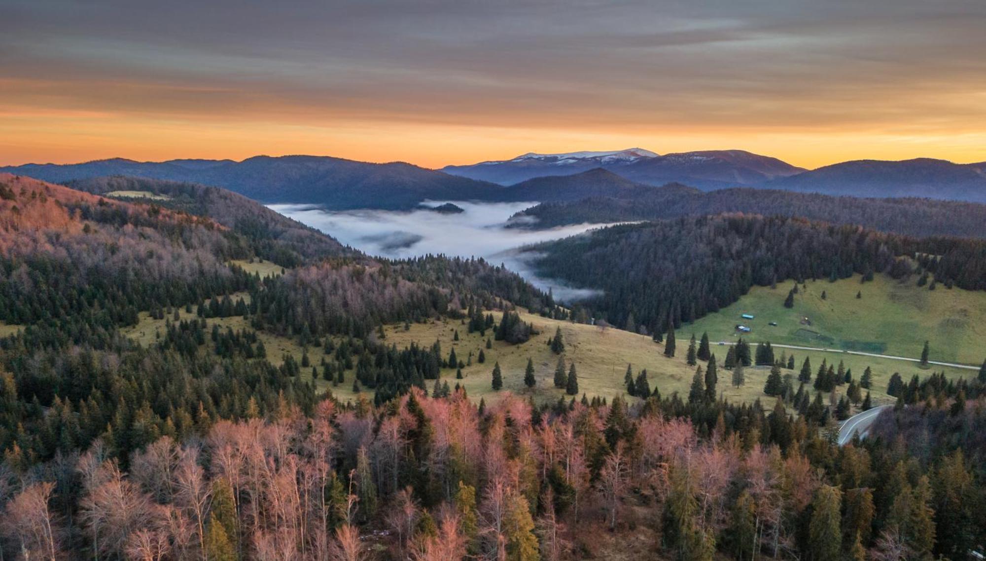 Отель Apuseni Park Padis Budureasa Экстерьер фото